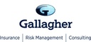 Gallagher Insurance